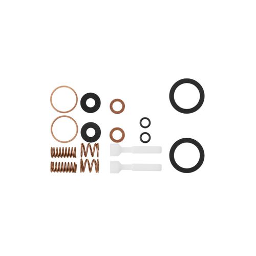 Main product image of Valve Kit, K-30132