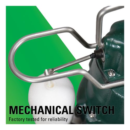 Main product image of Model D53 Mighty-Mate Automatic Cast Iron Effluent Pump - 230 V, 0.3 HP